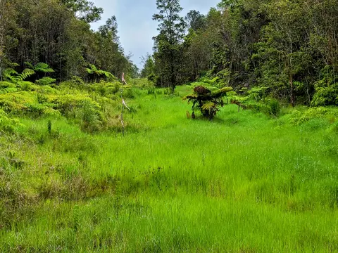 Undisclosed, Volcano, HI 96785