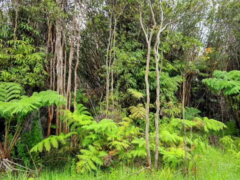 Undisclosed, Volcano, HI 96785