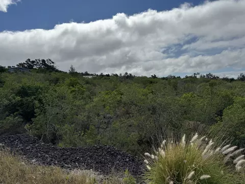 Alii Blvd, Ocean View, HI 96737