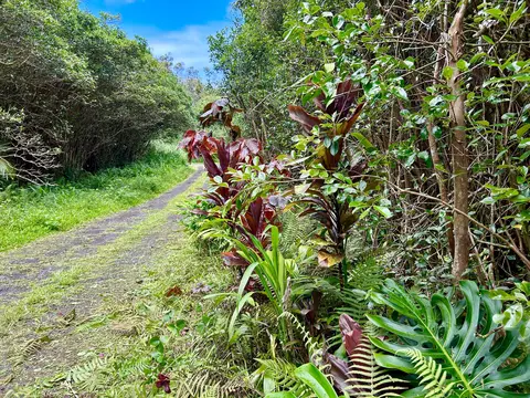 Molokai St, Pahoa, HI 96778