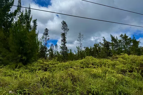 11-1993 Kaleponi Dr, Volcano, HI 96785