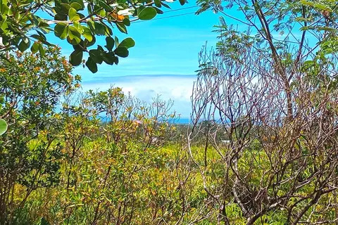 Ainaloa Blvd, Kurtistown, HI 96760