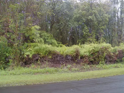 Pikake St, Mountain View, HI 96771 photo 3