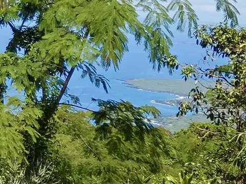 87-457 Kaohe Mauka Rd, Captain Cook, HI 96704