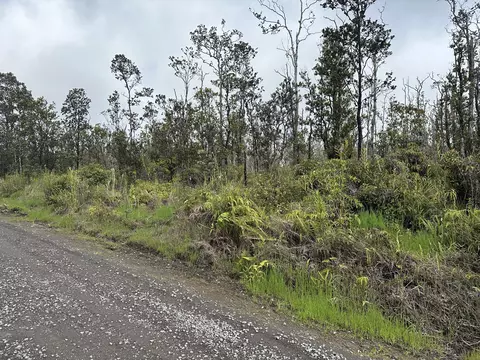 Kaleponi Dr, Volcano, HI 96785 photo 2