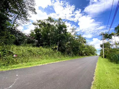 Pomaikai St, Pahoa, HI 96778
