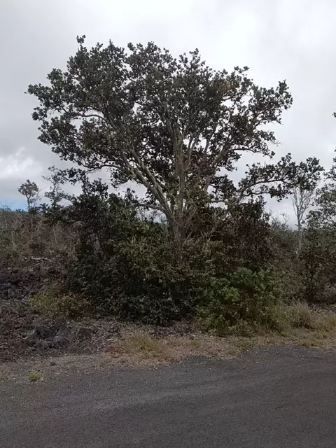 Iwalani Pkwy, Ocean View, HI 96737