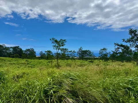Meyer Rd, Pahala, HI 96777 photo 10