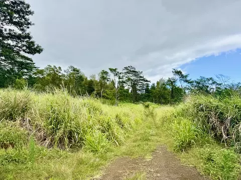 Meyer Rd, Pahala, HI 96777 photo 13
