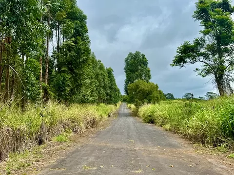 Meyer Rd, Pahala, HI 96777 photo 4