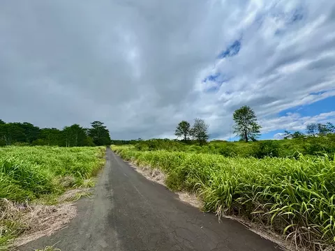 Meyer Rd, Pahala, HI 96777 photo 8