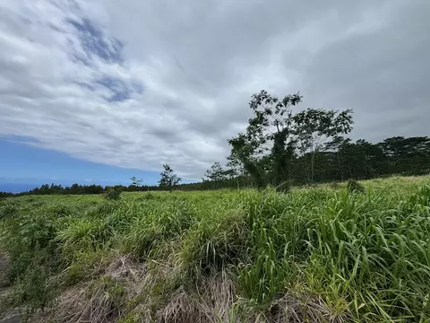 Meyer Rd, Pahala, HI 96777 photo 9