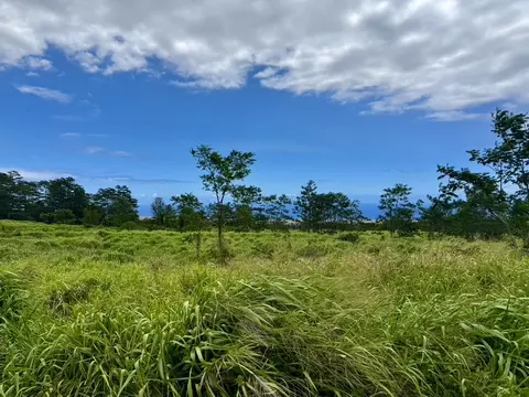 Meyer Rd, Pahala, HI 96777 photo 6