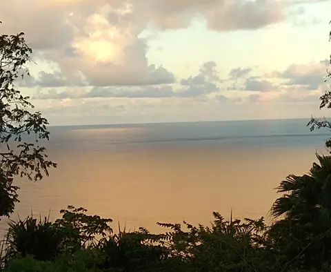 35-2064 Old Mamalahoa Hwy, Laupahoehoe, HI 96764