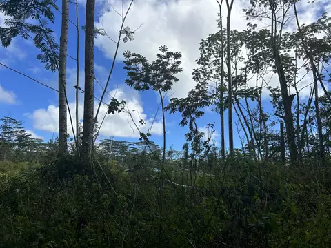 Plumeria Rd, Pahoa, HI 96778