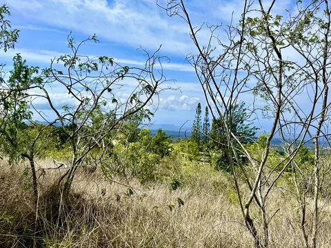 Undisclosed, Ocean View, HI 96737