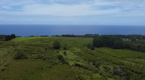 1 Private Rd # -3, Hakalau, HI 96710