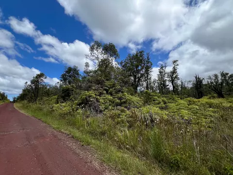 11-3035 Waimaka O Pele Rd, Mountain View, HI 96771