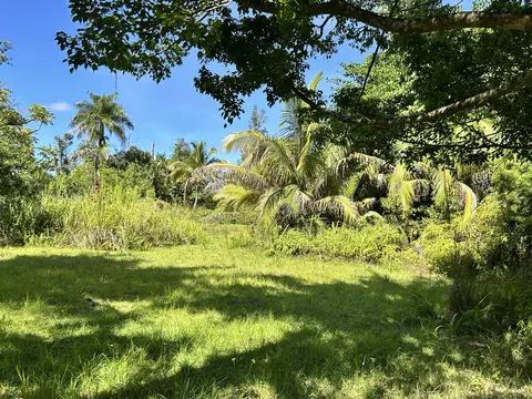 Aloha Dr, Pahoa, HI 96778