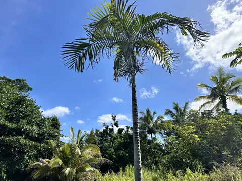 Uilani Dr, Pahoa, HI 96778