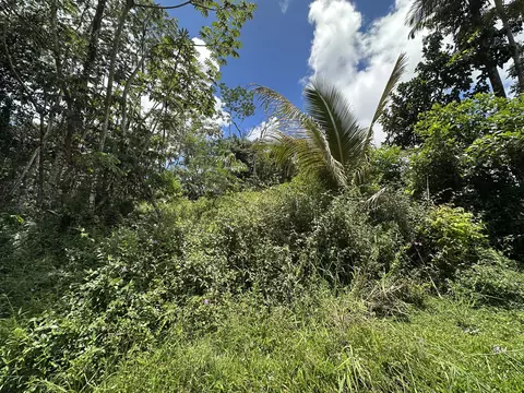 Holiday Rd, Pahoa, HI 96778