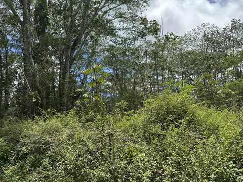 Plumeria Rd, Pahoa, HI 96778