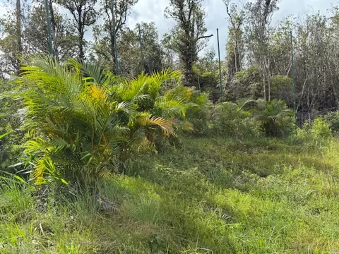 Palainui Ave, Mountain View, HI 96771 photo 13