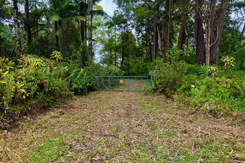 Road 1, Mountain View, HI 96760