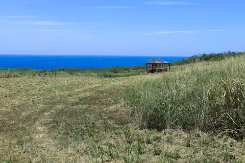 85-4471 Kapia Rd, Captain Cook, HI 96704