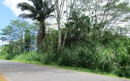 35 Th Ave, Keaau, HI 96760