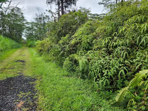 Maui Rd, Pahoa, HI 96778