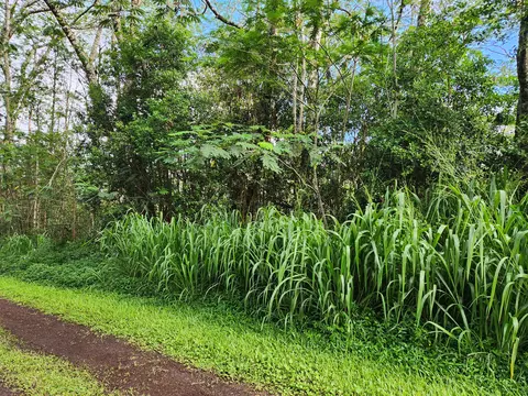 Seadrift Rd, Pahoa, HI 96778