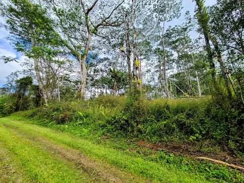 Kahoolawe Rd, Pahoa, HI 96778