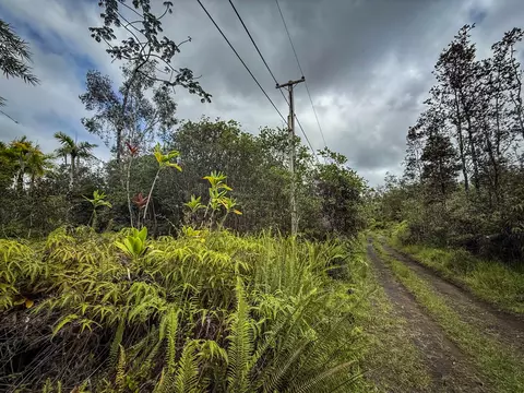 Road 10, Kurtistown, HI 96760