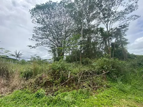 Paradise Ct, Kurtistown, HI 96760