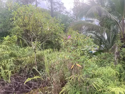 King Kamehameha Blvd, Pahoa, HI 96778