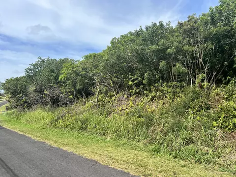 Kaulua St, Naalehu, HI 96772