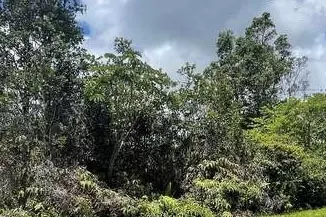 Plumeria Dr, Pahoa, HI 96778