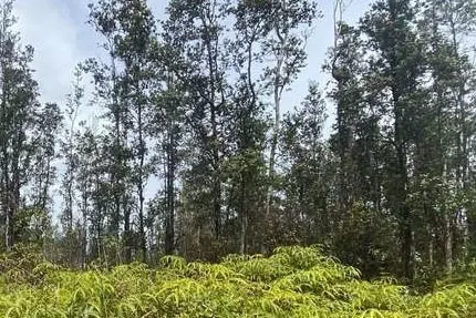 Ainaloa Dr, Pahoa, HI 96778