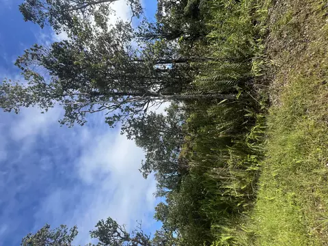 Wailele St, Mountain View, HI 96771