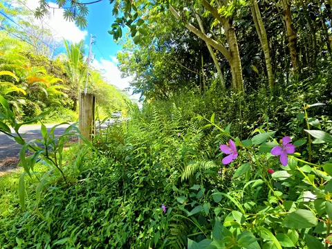 Nohea St, Pahoa, HI 96778