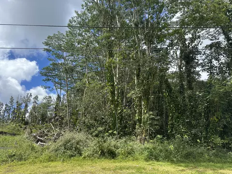 Hyla Circle, Pahoa, HI 96778