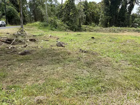 15-457 Limu St, Pahoa, HI 96778