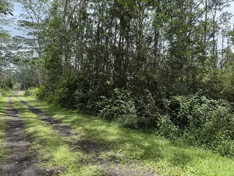 Plumeria Rd, Pahoa, HI 96778