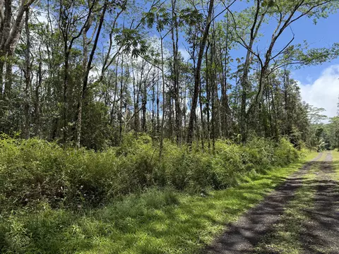 Plumeria Rd, Pahoa, HI 96778