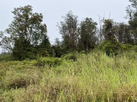 Hinuhinu St, Volcano, HI 96785