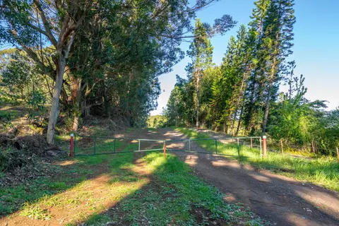 44-4772 Waikaalulu Rd, Honokaa, HI 96727