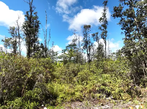 36 Th Ave, Keaau, HI 96749