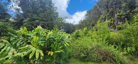 Hohiu St, Volcano, HI 96785
