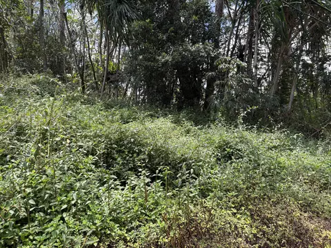 15-281 Kahakai Blvd, Pahoa, HI 96778